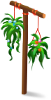 Hanging plants