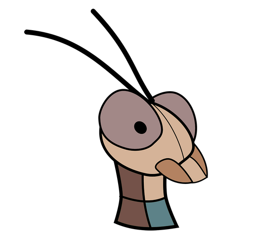 File:Krani Head Boreal Small.png