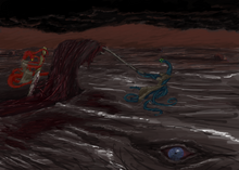 FleshFields