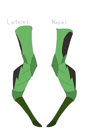 File:Krani Legs.png