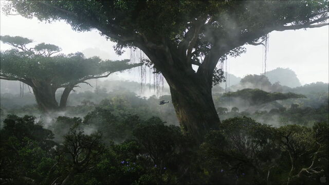 File:Rainforest-on-pandora-desktop-wallpaper-wallpaper-avatar-movie-high-res-rainforest-pandora-desktop-Pandora-Forest.jpg