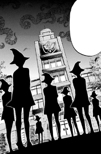Seven New Witches