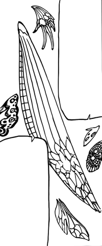 File:Fairy Wings.png