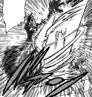 Hawk teleported away