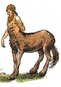 File:Roonwit.JPG