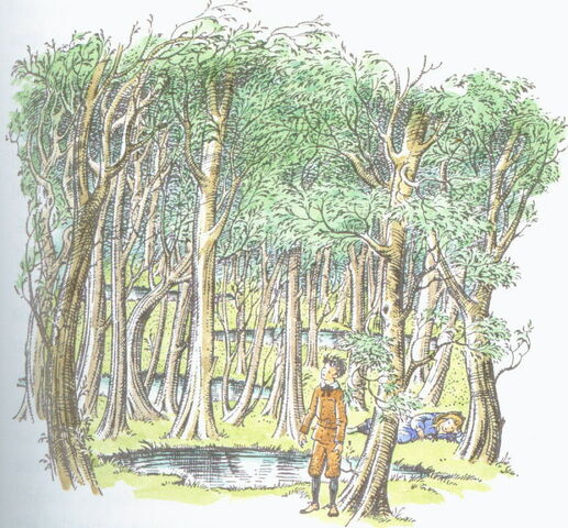 File:Woodbetweenworlds.jpg