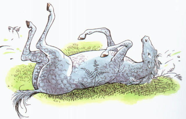 File:Bree2.jpg