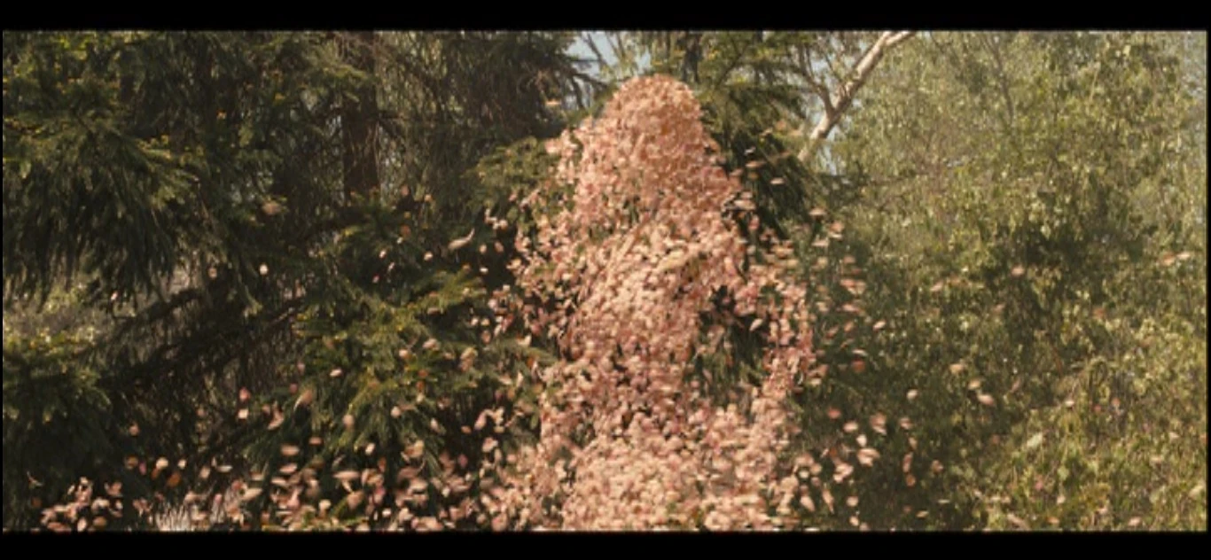 Nymph The Chronicles of Narnia Wiki FANDOM powered by