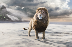 Aslan 2