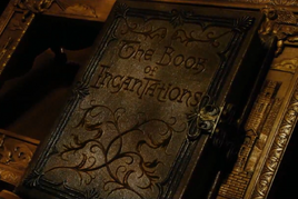 Bookofincantations (1)