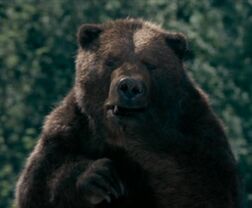 Bearsuckingpaw