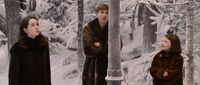 Сьюзан Питер и Люси возле Фонаря.jpg