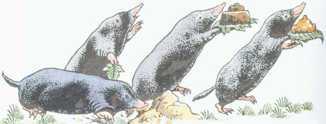File:Moles.jpg