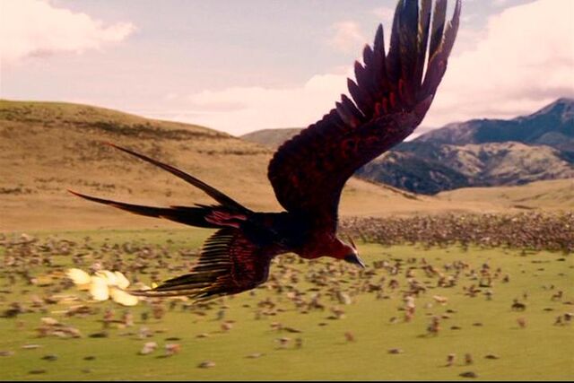 File:Phoenix.jpg