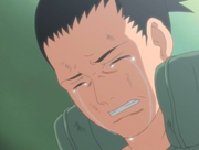 Shikamaru pleure.png