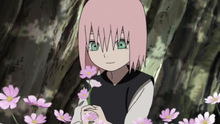 Sakuchild.png