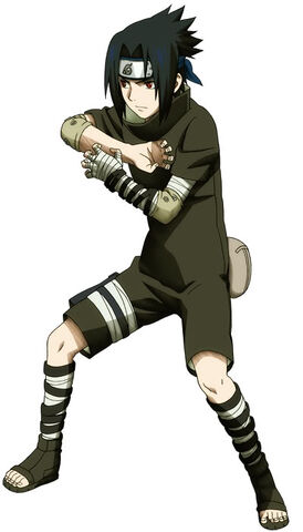 Fișier:Sasuke3.jpg