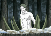 WZfull.png