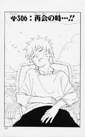 File:Chapter 306.jpg