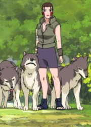 Haimaru brothers-0.png