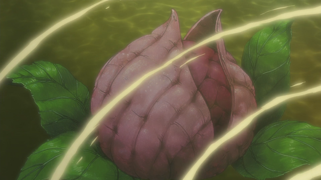 Berkas:Shinju Fruit.png