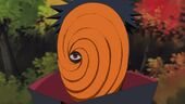 Tobi-tobi-19219020-1280-720.jpg