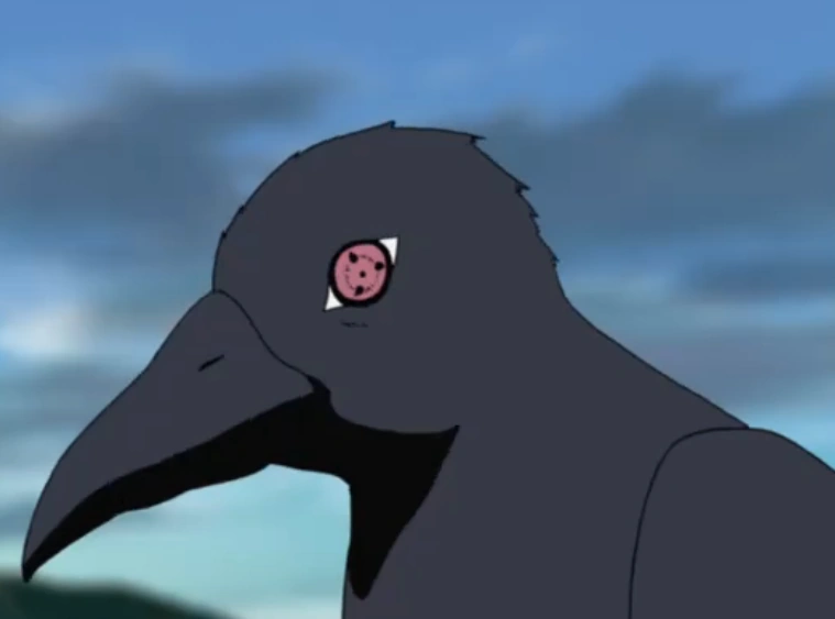 Corvo de Itachi | Wiki Naruto | FANDOM powered by Wikia