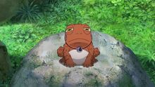 GreatToadSageYoung