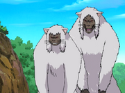 Onbaa.png