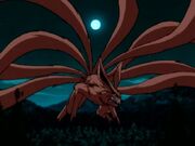9tailed.jpg
