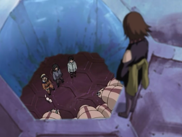 File:Suzumebachi's trap.png