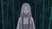 Kaguya pre-fruit.png