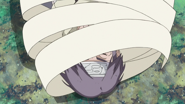 File:Toroi Being Sealed.png