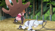 Chōchō Vs Shin