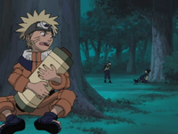 Naruto Hiding.png