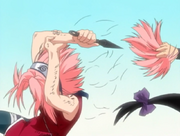 Sakuracuthair.png
