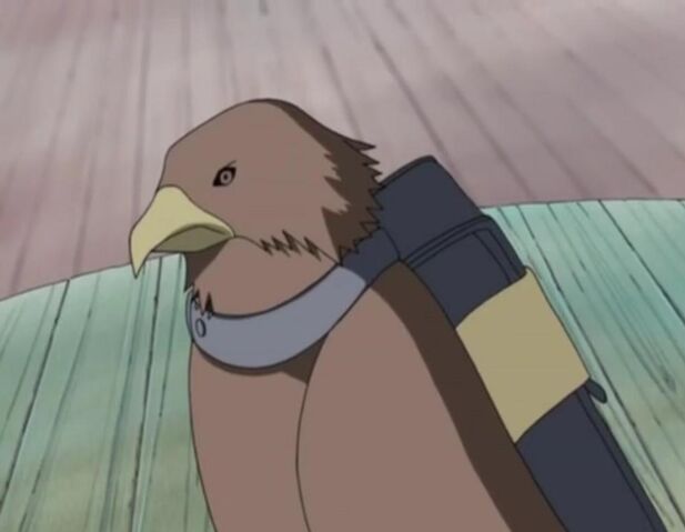 Berkas:Takamaru.jpg