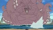 8tailed.jpg