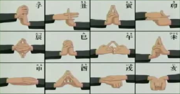 Posizioni delle mani.png