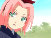 Sakurasmall.png