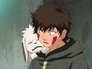 Akamaru Descubre a Kabuto.jpg