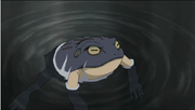 Mise Gama.png