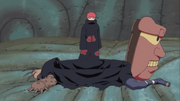 HirukoSasori.png