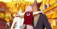 Sakura szulei.jpeg