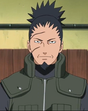 Shikaku Nara.png