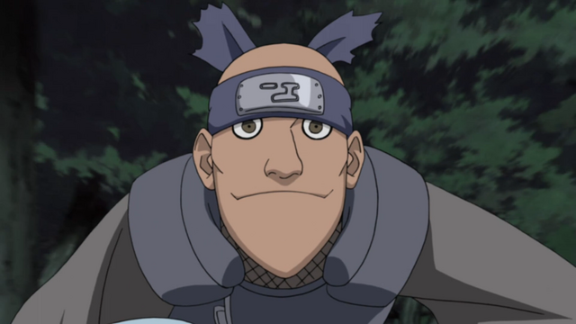 File:Sekiei's partner.png