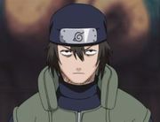 300px-Hayate2