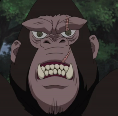 File:King anime.png