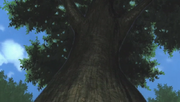 Konan's paper tree
