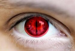 Kyuubi Eyes
